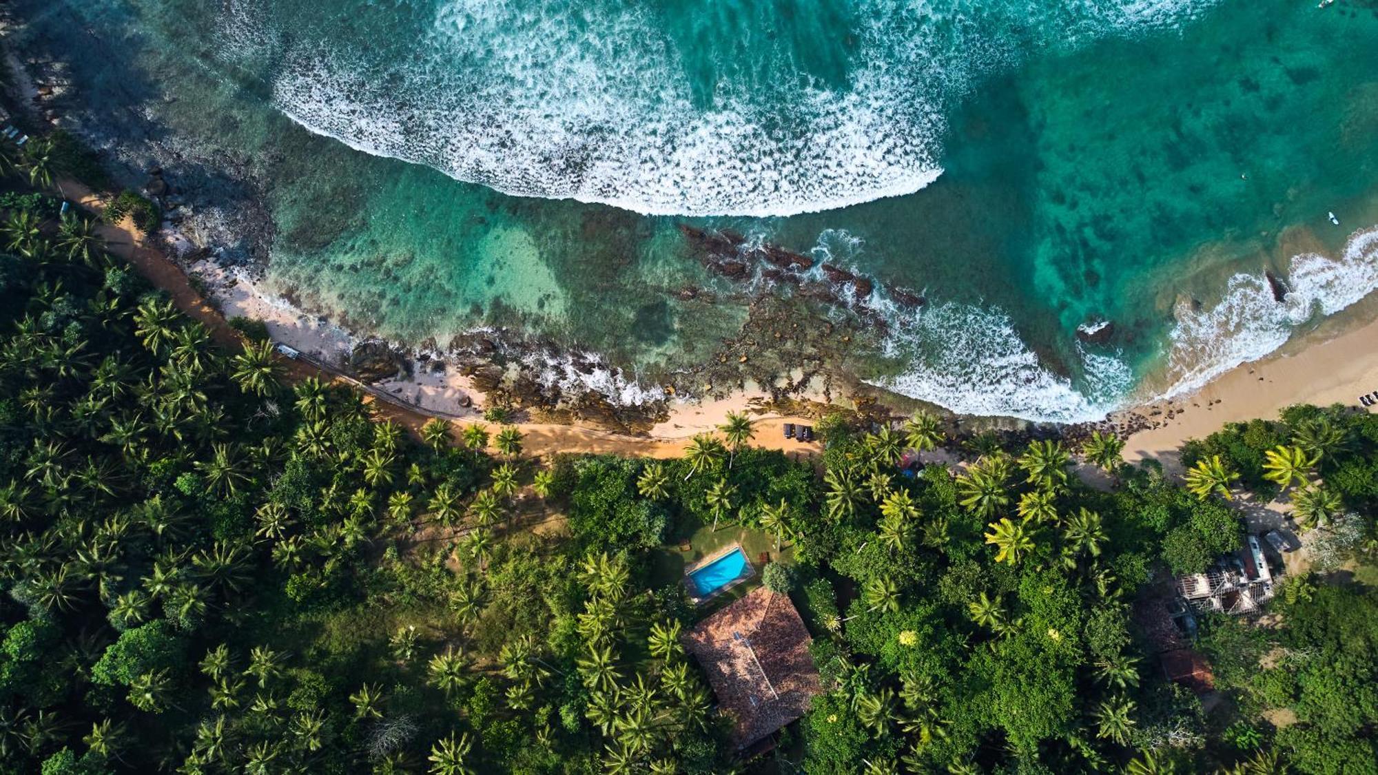 Tamasha Mango House Otel Dikwella Dış mekan fotoğraf