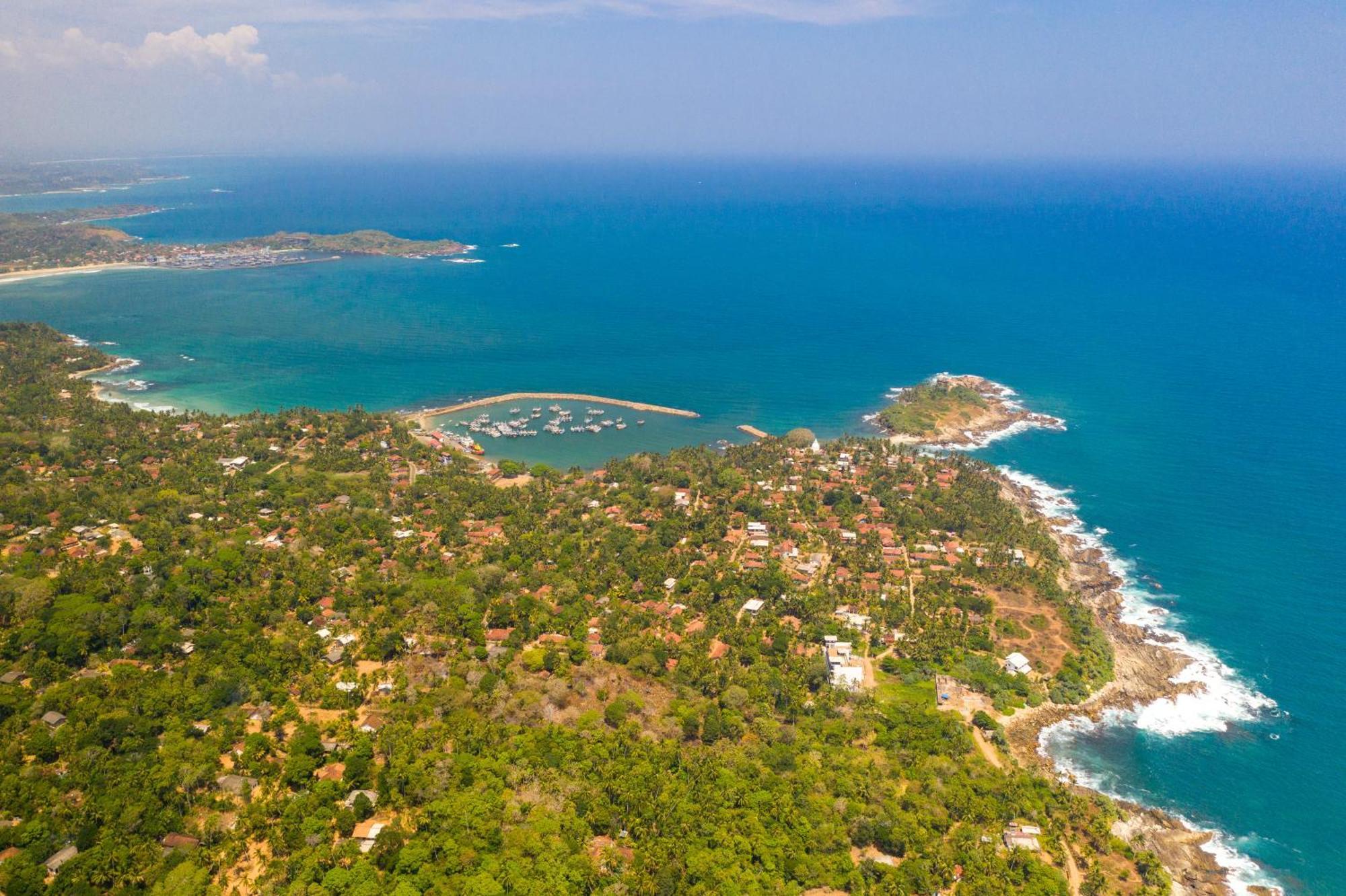 Tamasha Mango House Otel Dikwella Dış mekan fotoğraf
