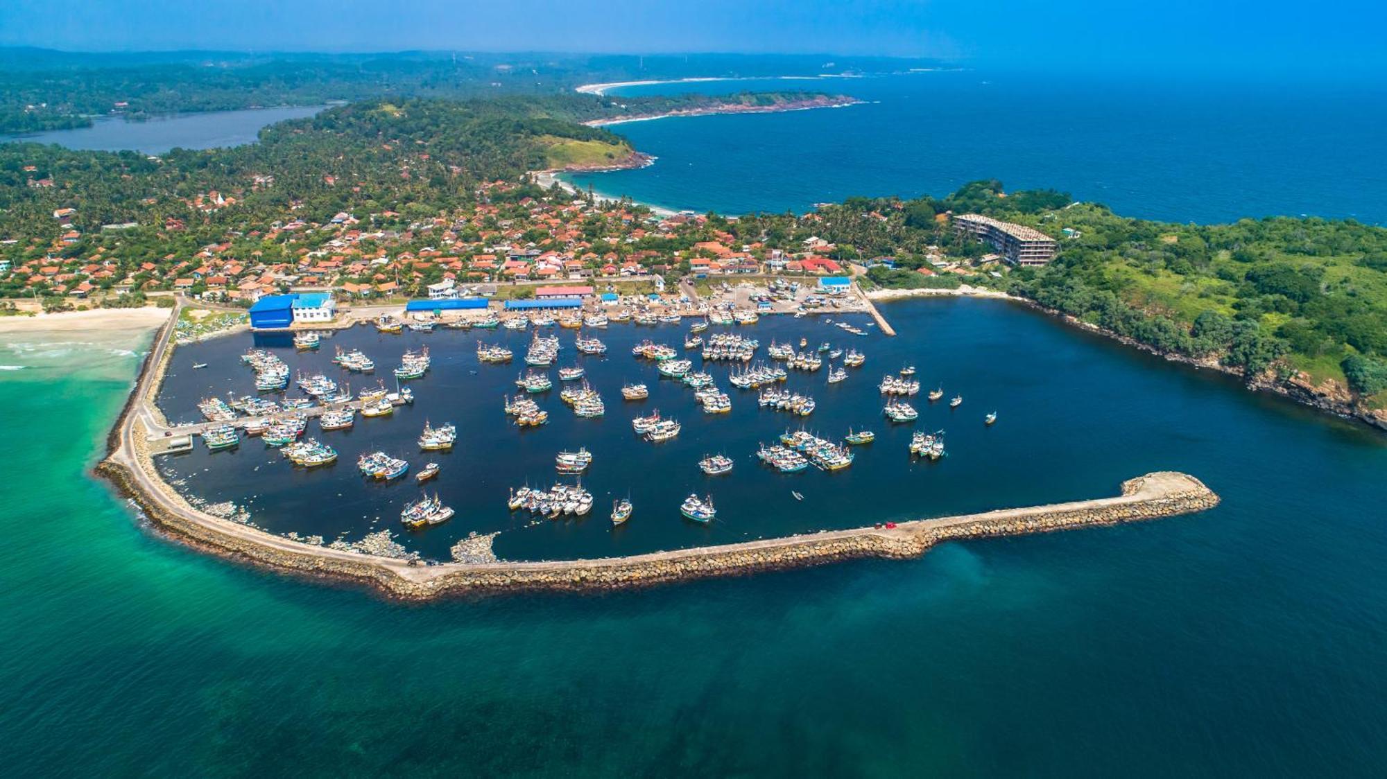 Tamasha Mango House Otel Dikwella Dış mekan fotoğraf